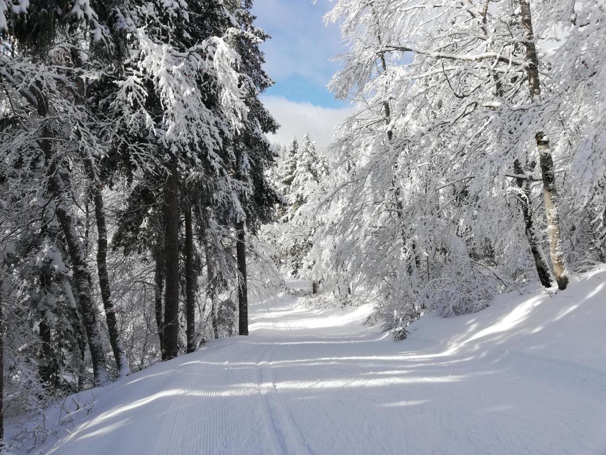Ferme Des Deux Freres, Autrans, Vercors Exterior foto