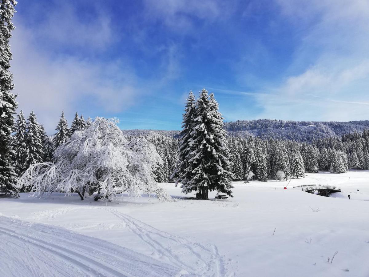 Ferme Des Deux Freres, Autrans, Vercors Exterior foto