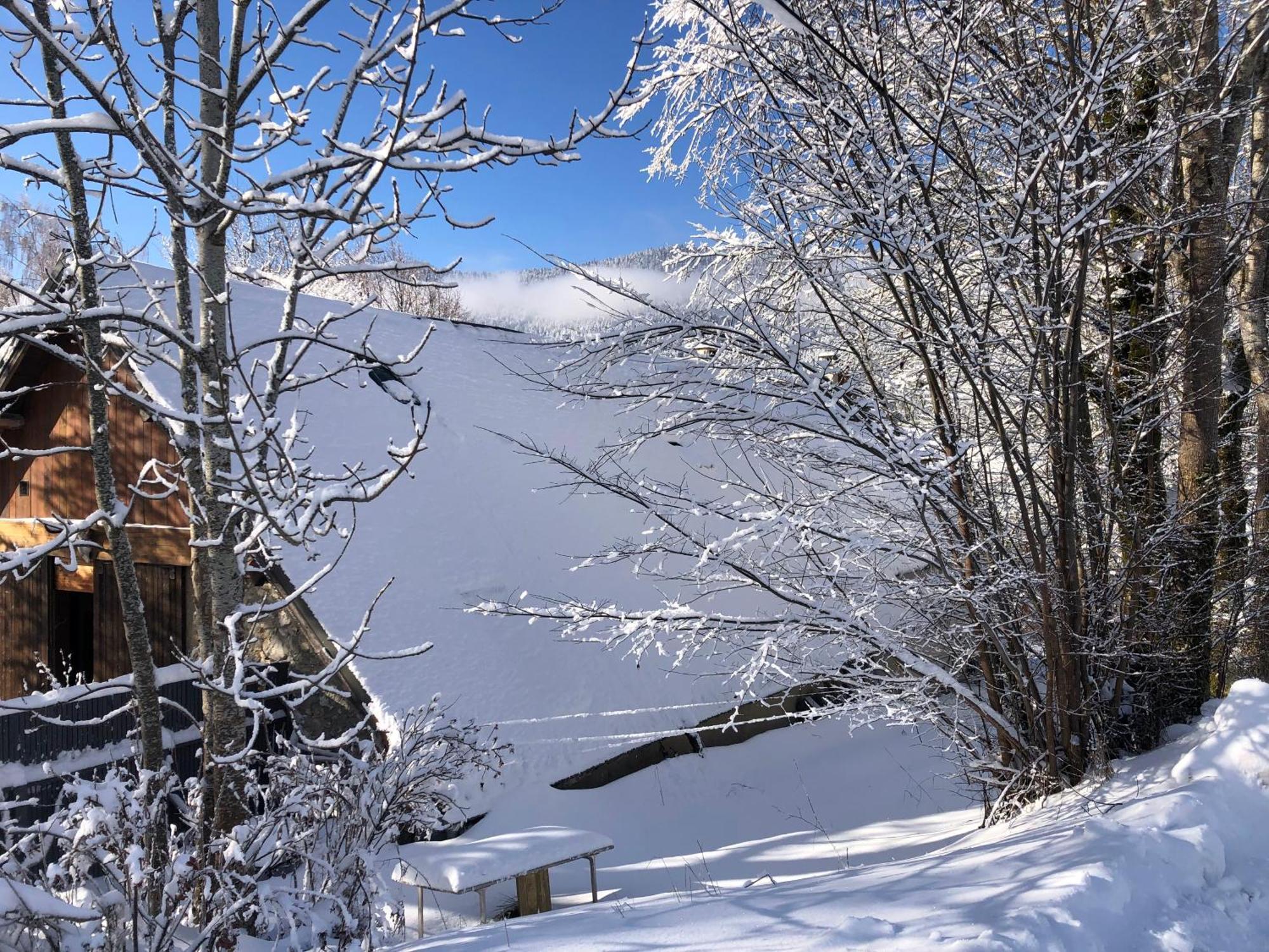 Ferme Des Deux Freres, Autrans, Vercors Exterior foto