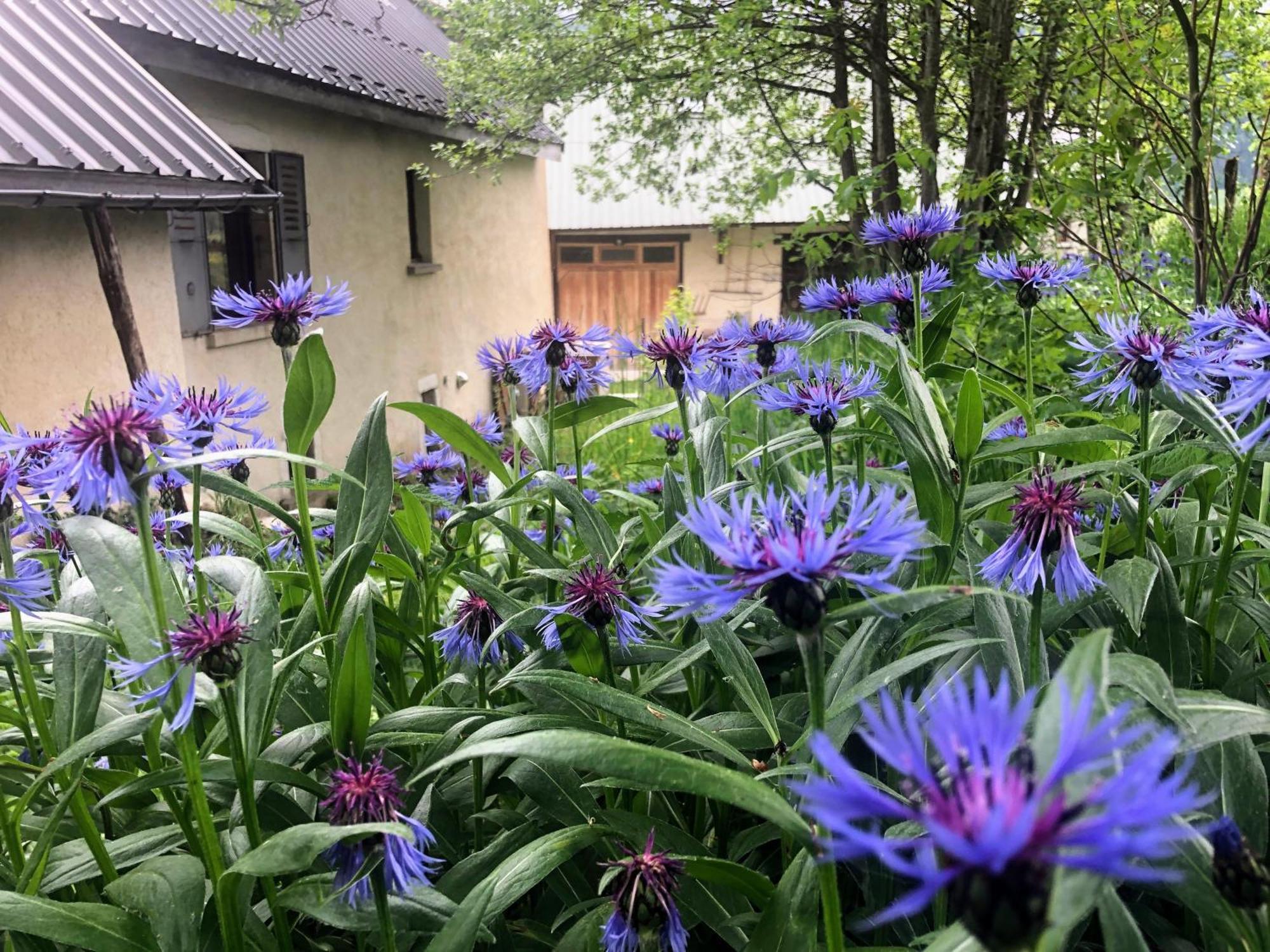 Ferme Des Deux Freres, Autrans, Vercors Exterior foto